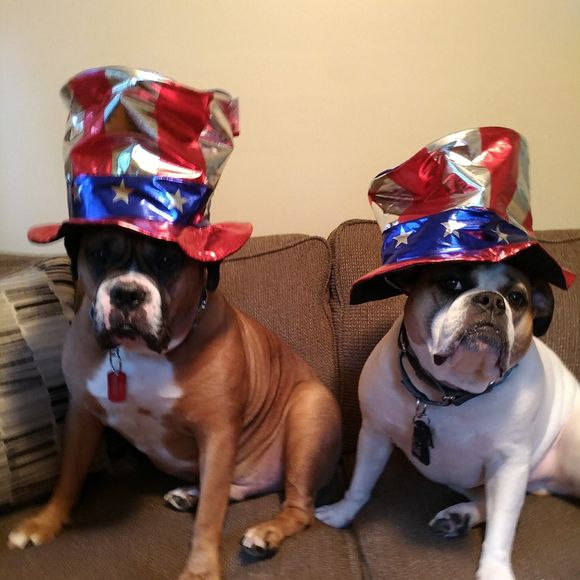 Meet your Posher, Eve - Picture 1 of 1